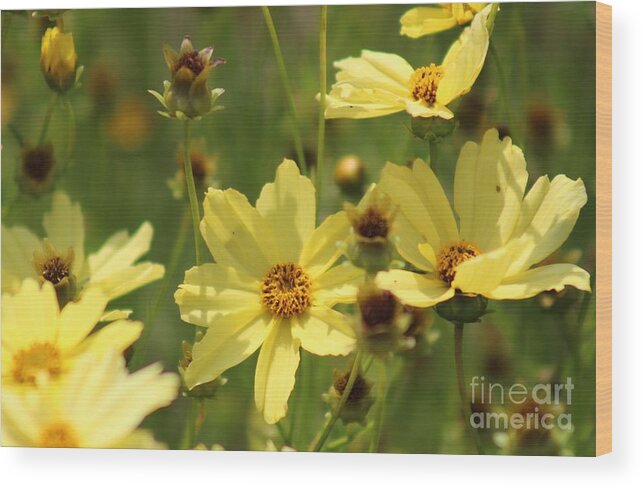 Yellow Wood Print featuring the photograph Nature's Beauty 64 by Deena Withycombe