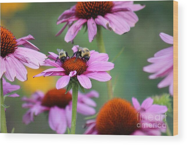 Pink Wood Print featuring the photograph Nature's Beauty 66 by Deena Withycombe