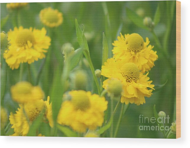 Yellow Wood Print featuring the photograph Nature's Beauty 92 by Deena Withycombe