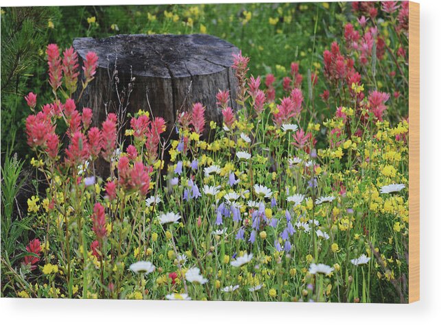 Wildflowers Wood Print featuring the photograph Nature's Bouquet by Whispering Peaks Photography