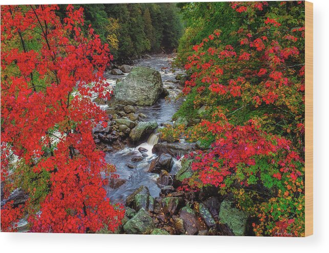 Red Wood Print featuring the photograph Natures Frame by Mark Papke