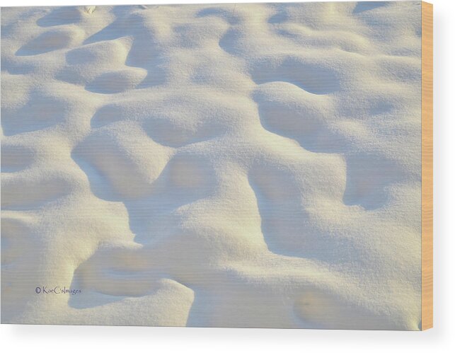 Nature Wood Print featuring the photograph Nature's Winter Abstract #5 by Kae Cheatham