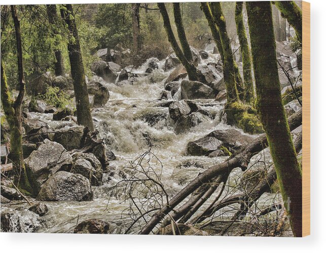 Yosemite Wood Print featuring the photograph Nauture z by Chuck Kuhn