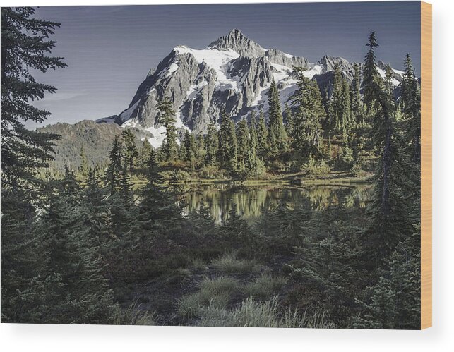 In Focus Wood Print featuring the photograph Nestled by Doug Scrima