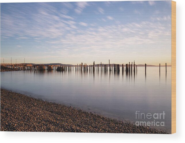 Morning Light Wood Print featuring the photograph New Day In The Bay by Sal Ahmed