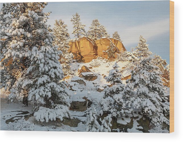 Rimrocks Wood Print featuring the photograph New Snow on the Rims by Jack Bell