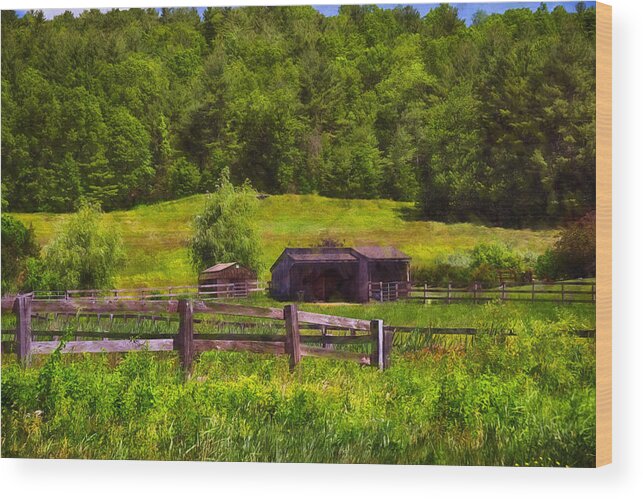 Nature Wood Print featuring the photograph Newton Farm by Tricia Marchlik