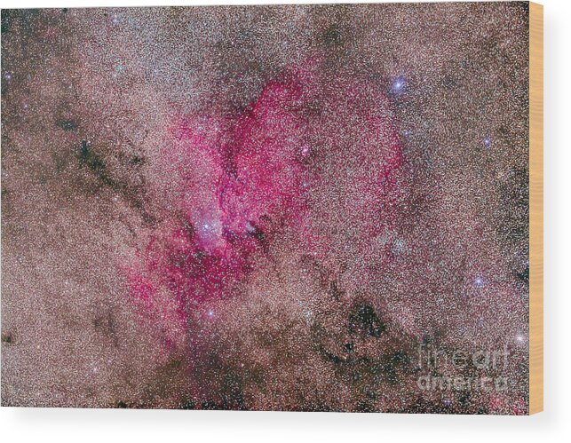 Ara Wood Print featuring the photograph Ngc 6193 Nebulosity In Ara With Several by Alan Dyer