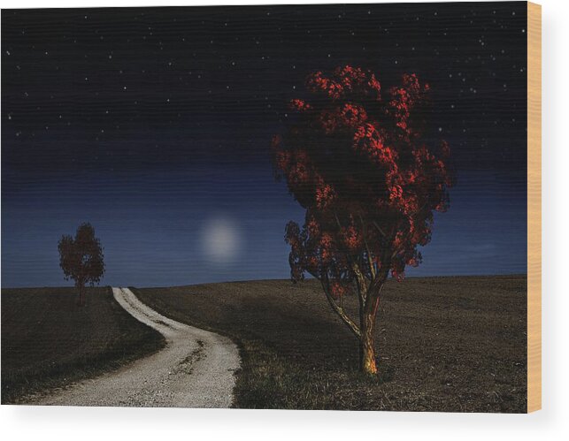 Night Wood Print featuring the photograph Night Sky in the Midwest by David Dehner
