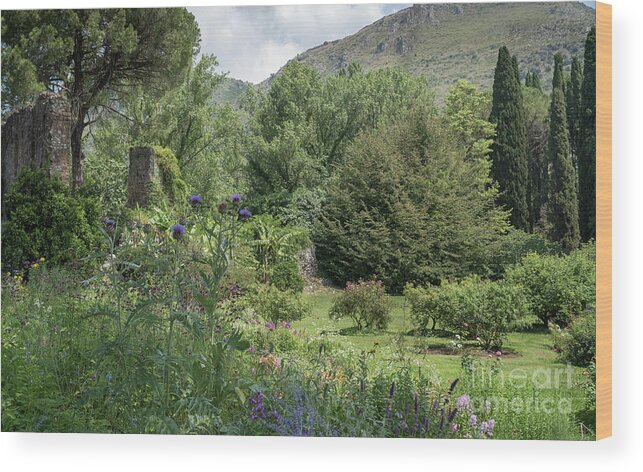 Ninfa Wood Print featuring the photograph Ninfa Garden, Rome Italy 3 by Perry Rodriguez
