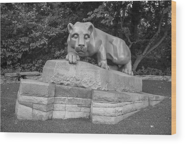 Penn State Wood Print featuring the photograph Nitty Lyon by John McGraw