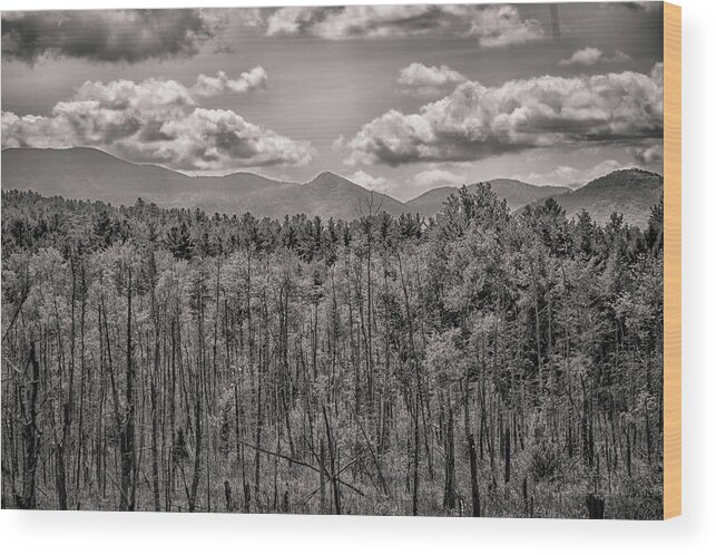 Hudson Valley Wood Print featuring the photograph No Man's Land by Elvira Pinkhas