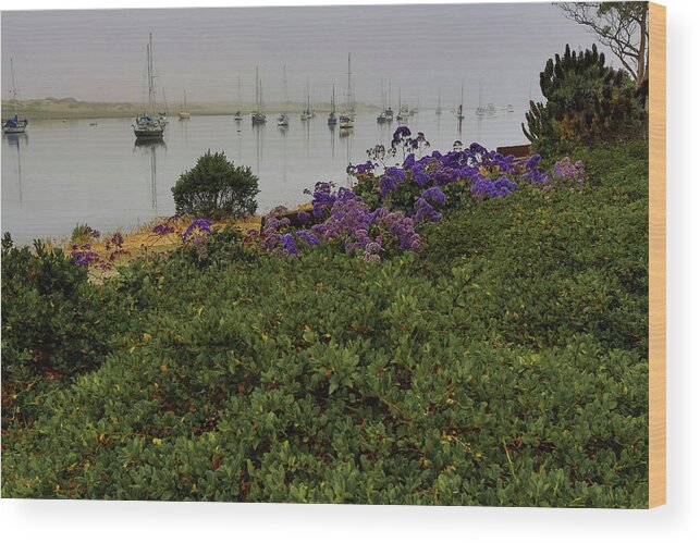 Morro Bay Wood Print featuring the photograph No Wind for Sailing by Dillon Kalkhurst