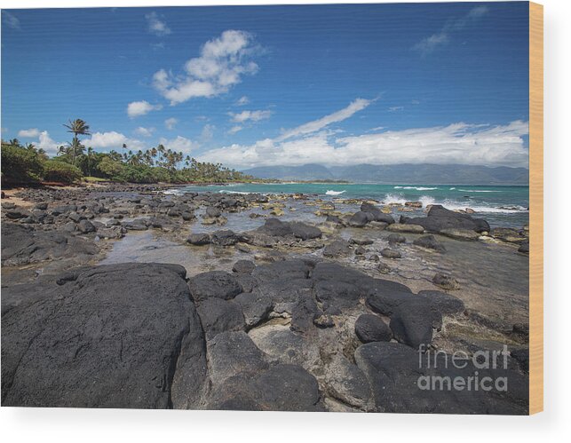 Maui Wood Print featuring the photograph North Bay Maui by Randy Wood