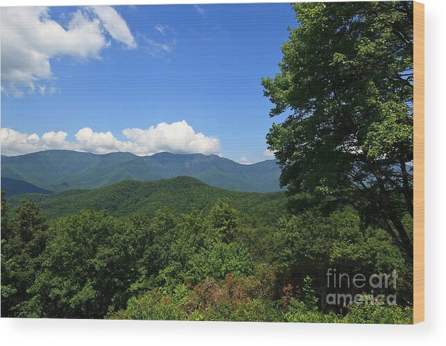 Mountains Wood Print featuring the photograph North Carolina Mountains in the Summer by Jill Lang