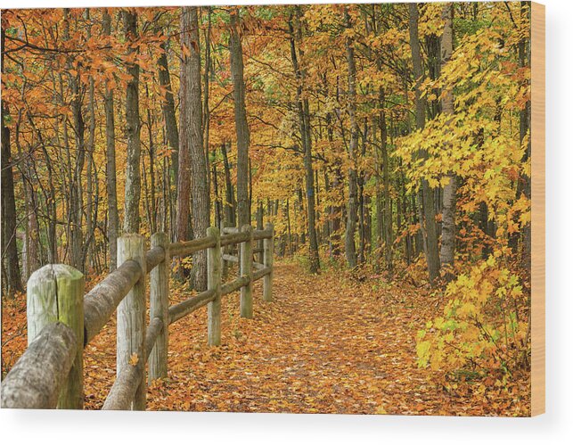North Country Trail Wood Print featuring the photograph North Country Trail 1 by Steve L'Italien