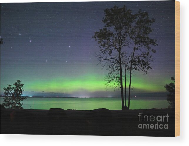 Astronomy Wood Print featuring the photograph Northern Light with Big Dipper by Charline Xia