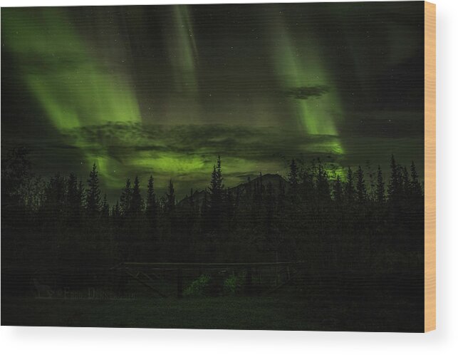 Northern Lights Wood Print featuring the photograph Northern Lights by Fred Denner
