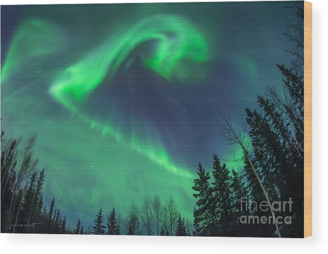 Aurora Borealis Wood Print featuring the photograph Northern Lights Shapeshifting by Joanne West