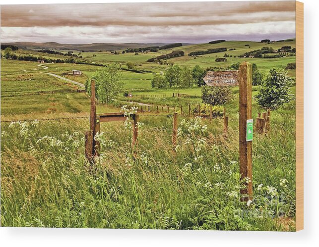 Northumberland Landscape Wood Print featuring the photograph Northumberland Landscape by Martyn Arnold