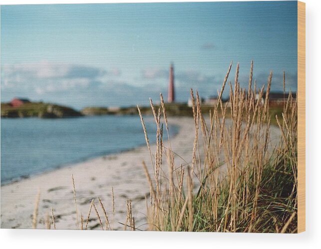 Andenes Wood Print featuring the photograph Norwegian Grass by Gregory Barger