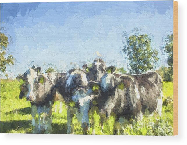 Cow Wood Print featuring the digital art Nosy cows by Patricia Hofmeester