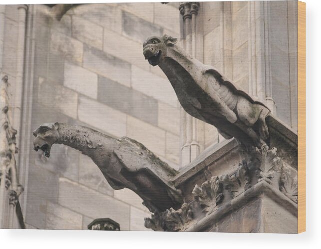 Notre Dame Cathedral Gargoyles Wood Print featuring the photograph Notre Dame Cathedral gargoyles by Christopher J Kirby