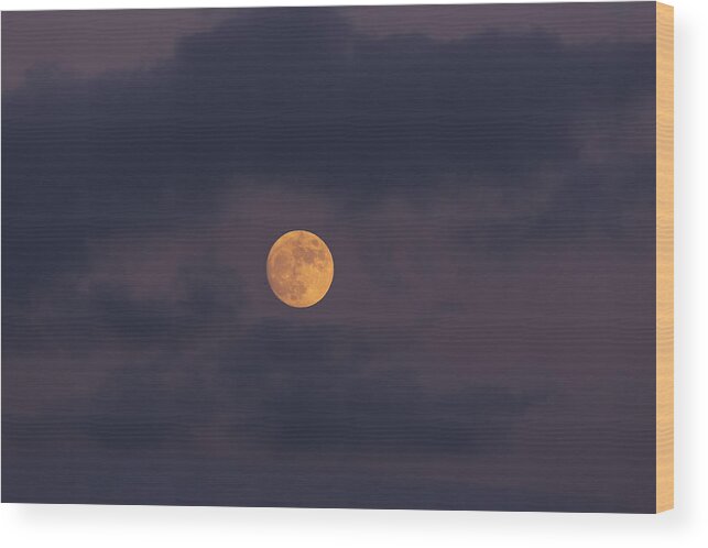 November Wood Print featuring the photograph November Full Moon with Plane by Angela Stanton