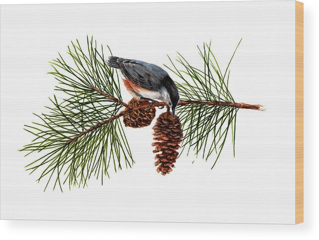Nuthatch On Pine Wood Print featuring the painting Nuthatch 1 by Jessie Vaughn