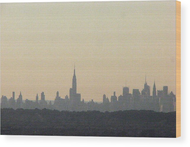 Air Wood Print featuring the photograph NYC Skyline at sunset by T Guy Spencer