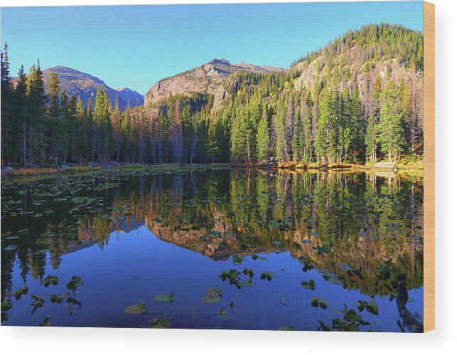 Nymph Lake Wood Print featuring the photograph Nymph Lake Reflections by Greg Norrell