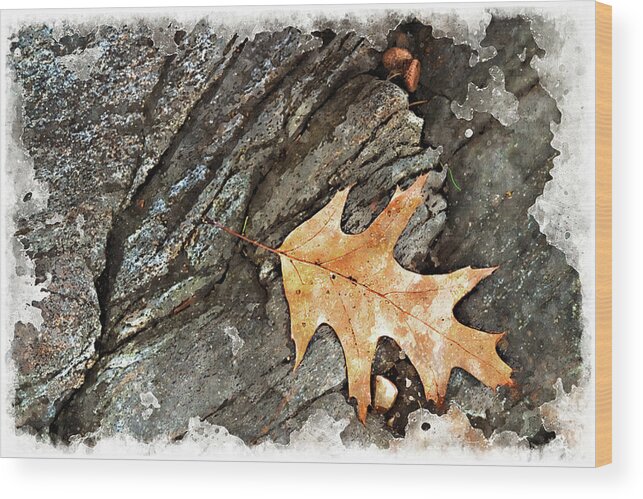 Oak Wood Print featuring the digital art Oak Leaf on the Rocks by Peter J Sucy