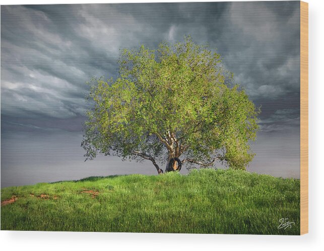 Oak Tree Wood Print featuring the photograph Oak Tree With Tire Swing by Endre Balogh
