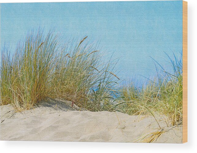 Bonnie Follett Wood Print featuring the photograph Ocean Beach Dunes by Bonnie Follett