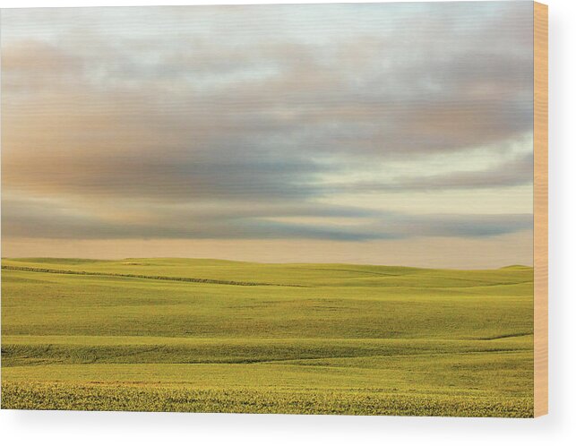 Wheat Wood Print featuring the photograph Ocean of Wheat by Todd Klassy