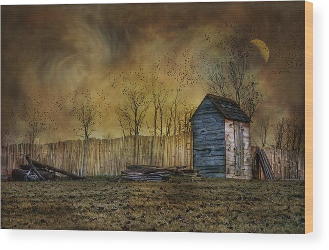 Outhouse Wood Print featuring the photograph October Outhouse by Robin-Lee Vieira