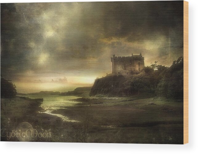  Wood Print featuring the photograph Oh Fine Scottish Weather by Cybele Moon