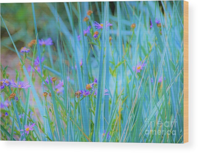Grass Wood Print featuring the photograph Oh Yes by Merle Grenz