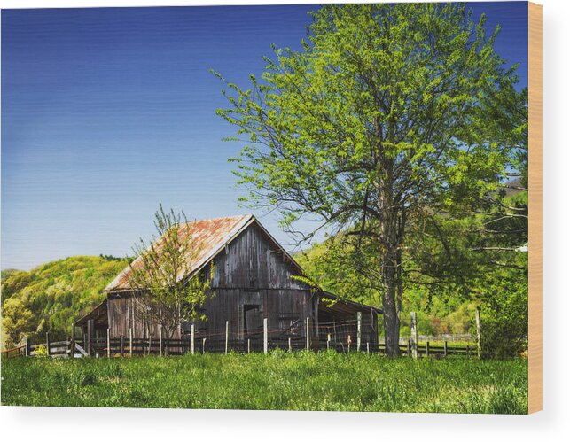 Color Wood Print featuring the photograph Old Backyard Barn by Alan Hausenflock