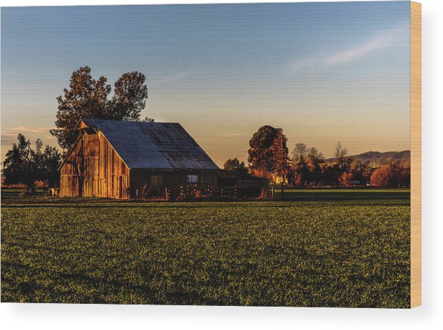 Barn Wood Print featuring the photograph Old Barn 12 Color by Bruce Bottomley