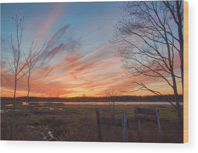 Sunset Wood Print featuring the photograph Old Bog Sunset by Beth Sawickie
