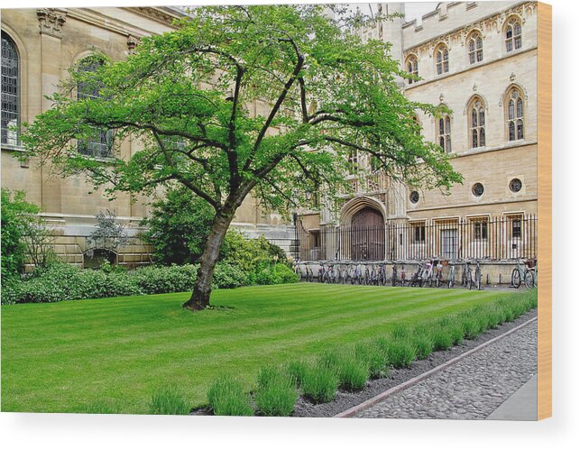 Old Court Wood Print featuring the photograph Old court. Clare College. by Elena Perelman