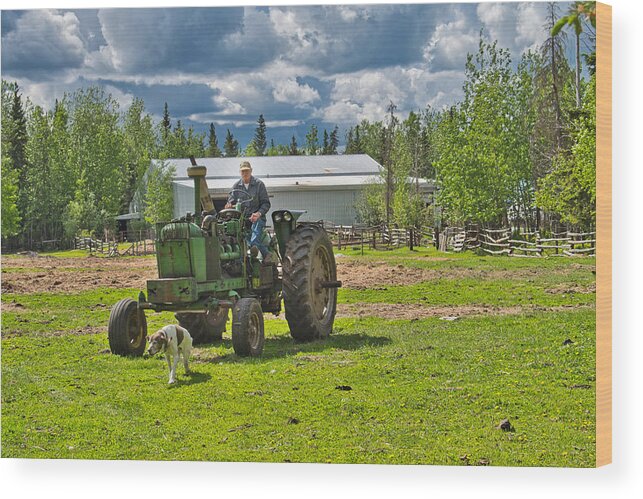 Tractor Wood Print featuring the photograph Old Farmer Old Tractor Old Dog by Cathy Mahnke