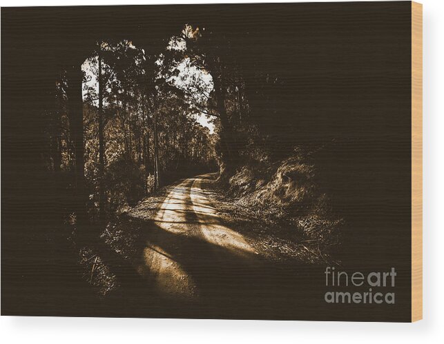 Creepy Wood Print featuring the photograph Old forest road by Jorgo Photography