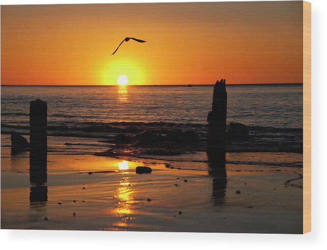 Seagull Wood Print featuring the photograph Old piers by Andrew Dickman