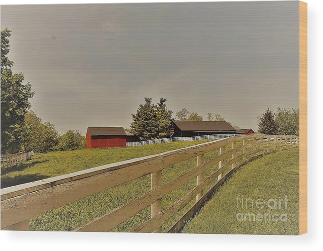 Landscape Wood Print featuring the photograph Old Red Barn by Carol Riddle
