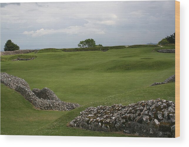 Old Wood Print featuring the photograph Old Sarum by Mary Mikawoz