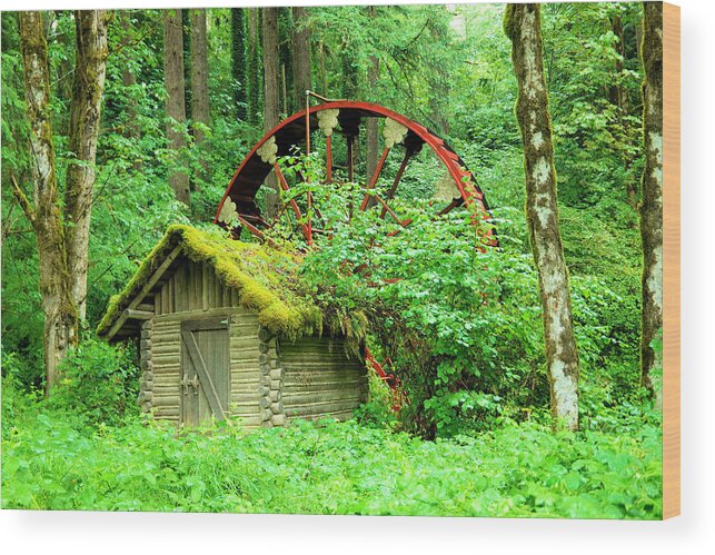Old Wood Print featuring the photograph Old wheel and cabin by Jeff Swan