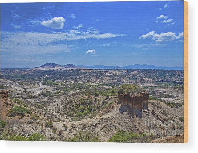 Olduvai Gorge Wood Print featuring the photograph Olduvai Gorge - The cradle of mankind by Pravine Chester