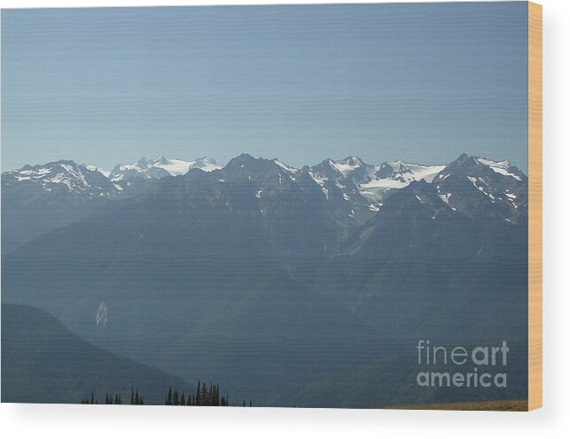 Mountain Wood Print featuring the photograph Olympics from Hurricane Ridge by Kathi Shotwell